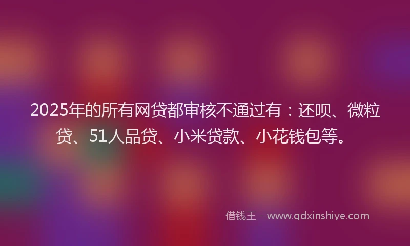 2025年的所有网贷都审核不通过有：还呗、微粒贷、51人品贷、小米贷款、小花钱包等。