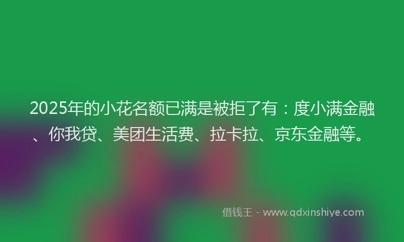 2025年的小花名额已满是被拒了有：度小满金融、你我贷、美团生活费、拉卡拉、京东金融等。