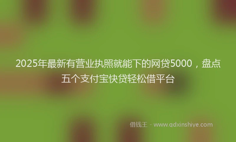 2025年最新有营业执照就能下的网贷5000，盘点五个支付宝快贷轻松借平台