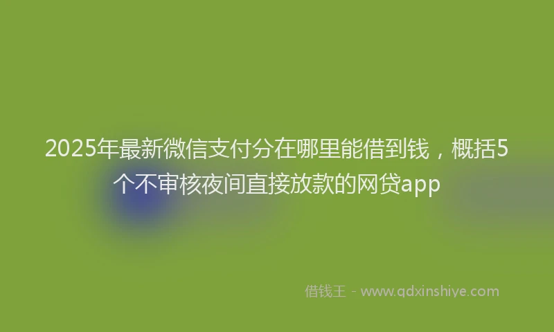 2025年最新微信支付分在哪里能借到钱，概括5个不审核夜间直接放款的网贷app