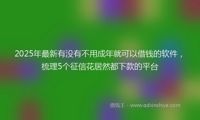 2025年最新有没有不用成年就可以借钱的软件，梳理5个征信花居然都下款的平台