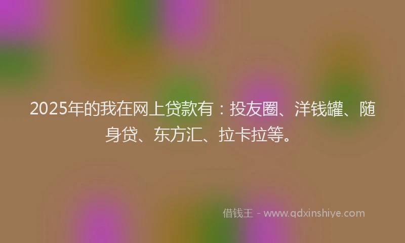 2025年的我在网上贷款有：投友圈、洋钱罐、随身贷、东方汇、拉卡拉等。