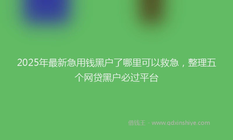 2025年最新急用钱黑户了哪里可以救急，整理五个网贷黑户必过平台
