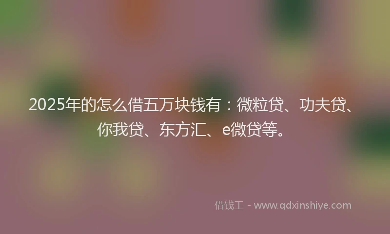 2025年的怎么借五万块钱有：微粒贷、功夫贷、你我贷、东方汇、e微贷等。