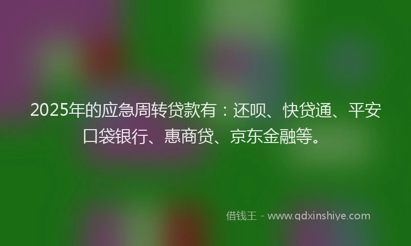 2025年的应急周转贷款有：还呗、快贷通、平安口袋银行、惠商贷、京东金融等。