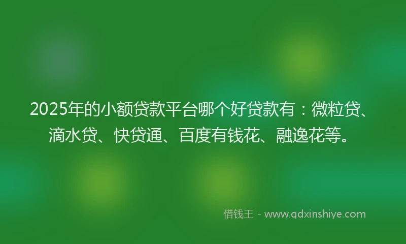 2025年的小额贷款平台哪个好贷款有：微粒贷、滴水贷、快贷通、百度有钱花、融逸花等。
