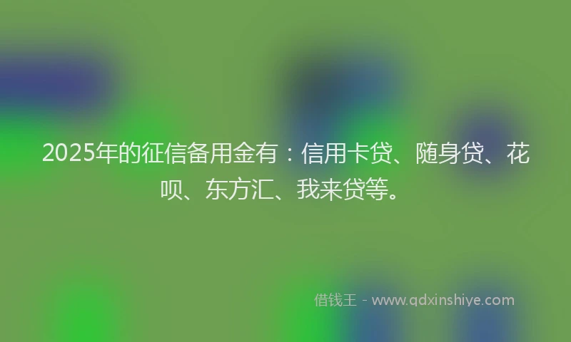 2025年的征信备用金有：信用卡贷、随身贷、花呗、东方汇、我来贷等。