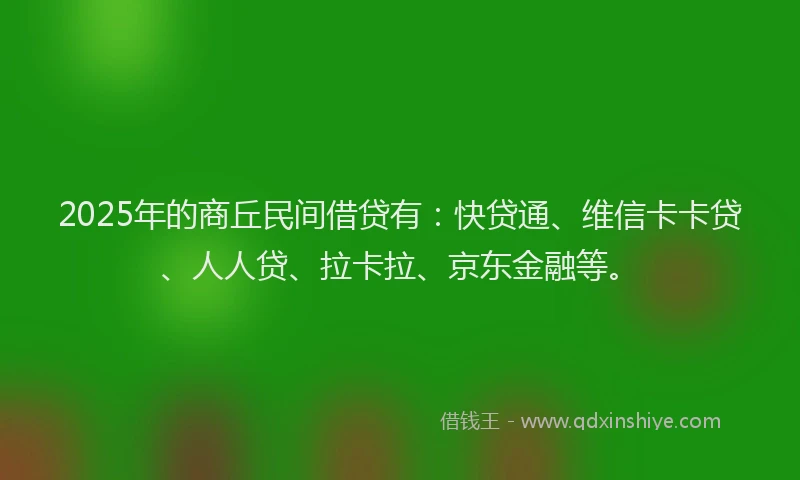 2025年的商丘民间借贷有：快贷通、维信卡卡贷、人人贷、拉卡拉、京东金融等。