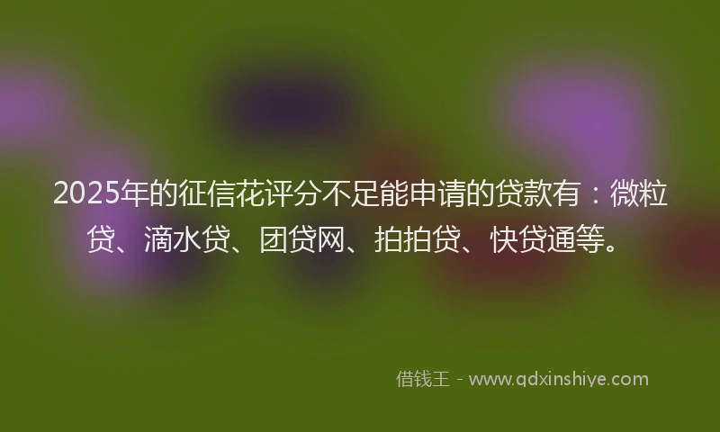 2025年的征信花评分不足能申请的贷款有：微粒贷、滴水贷、团贷网、拍拍贷、快贷通等。