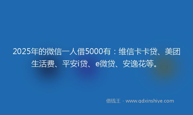 2025年的微信一人借5000有：维信卡卡贷、美团生活费、平安i贷、e微贷、安逸花等。