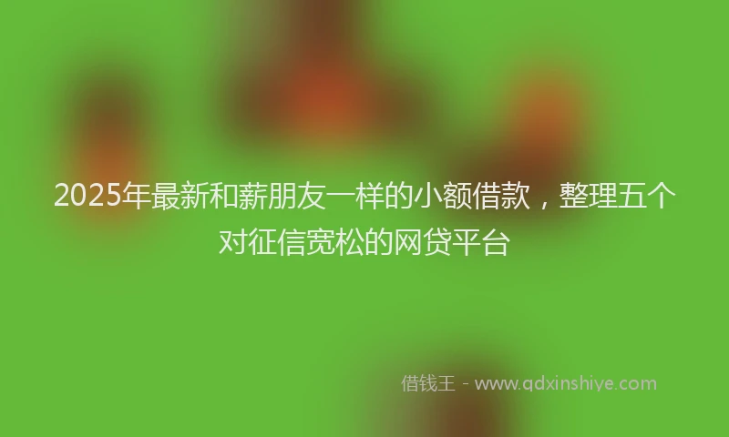 2025年最新和薪朋友一样的小额借款，整理五个对征信宽松的网贷平台