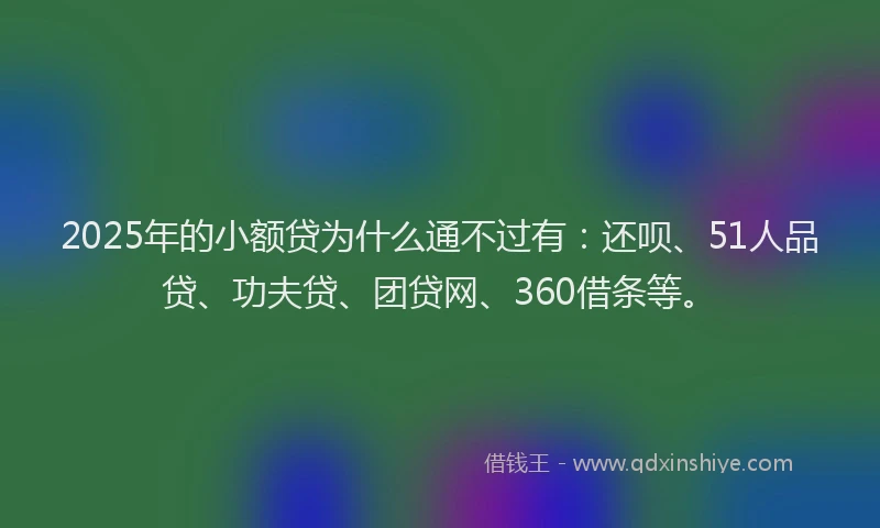 2025年的小额贷为什么通不过有：还呗、51人品贷、功夫贷、团贷网、360借条等。