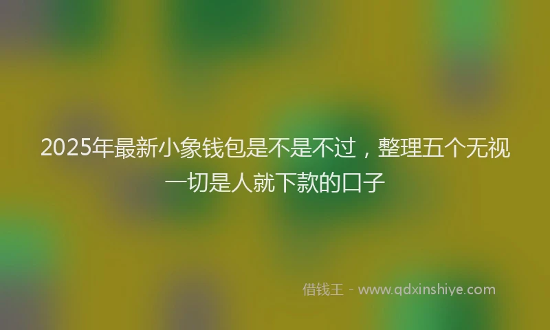 2025年最新小象钱包是不是不过，整理五个无视一切是人就下款的口子