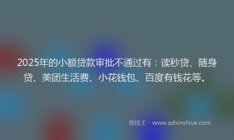 2025年的小额贷款审批不通过有：读秒贷、随身贷、美团生活费、小花钱包、百度有钱花等。
