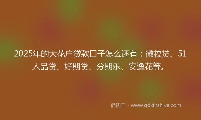 2025年的大花户贷款口子怎么还有：微粒贷、51人品贷、好期贷、分期乐、安逸花等。