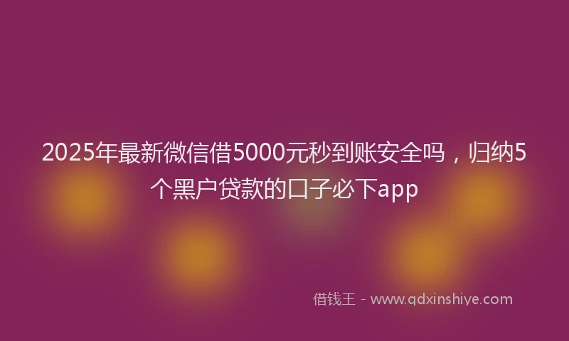 2025年最新微信借5000元秒到账安全吗，归纳5个黑户贷款的口子必下app
