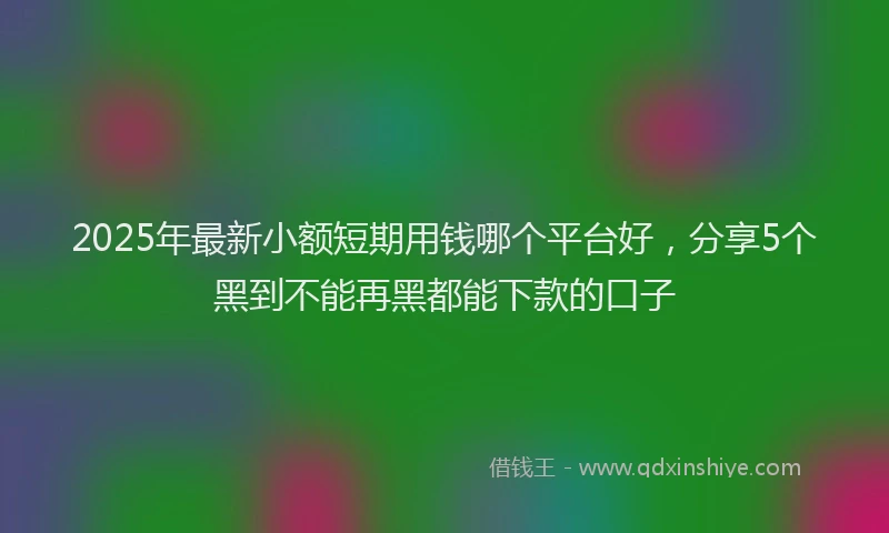 2025年最新小额短期用钱哪个平台好，分享5个黑到不能再黑都能下款的口子