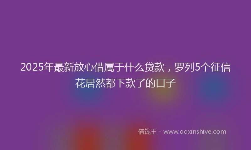2025年最新放心借属于什么贷款，罗列5个征信花居然都下款了的口子