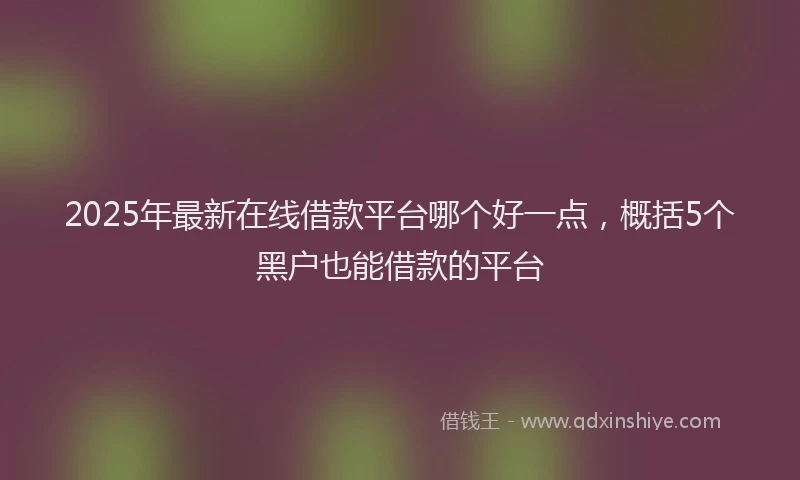 2025年最新在线借款平台哪个好一点，概括5个黑户也能借款的平台