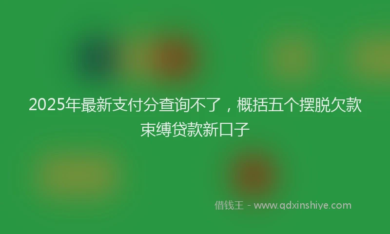 2025年最新支付分查询不了，概括五个摆脱欠款束缚贷款新口子