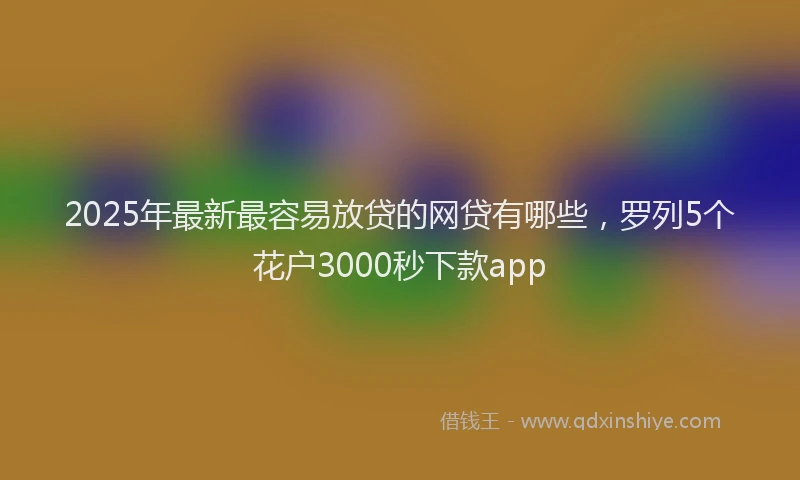 2025年最新最容易放贷的网贷有哪些，罗列5个花户3000秒下款app