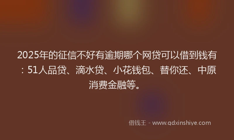 2025年的征信不好有逾期哪个网贷可以借到钱有：51人品贷、滴水贷、小花钱包、替你还、中原消费金融等。