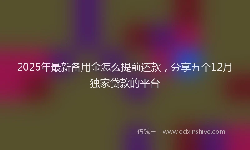 2025年最新备用金怎么提前还款，分享五个12月独家贷款的平台