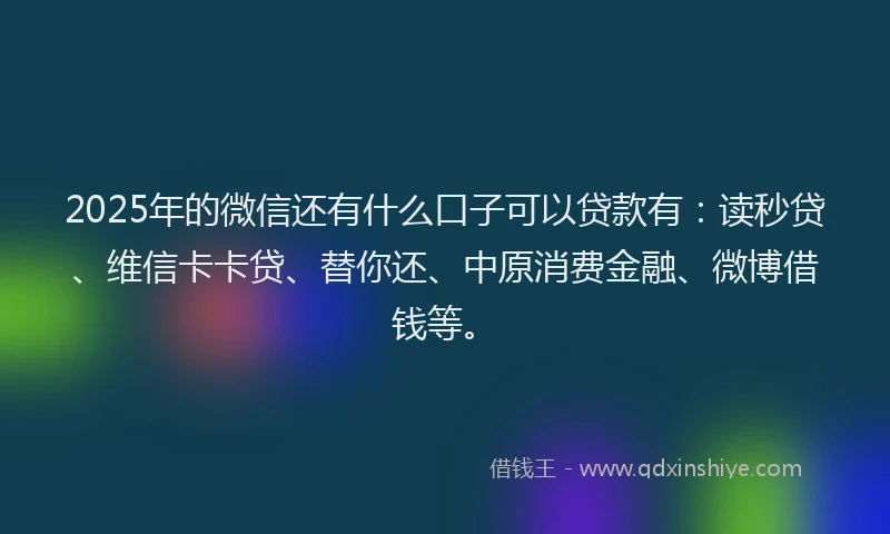 2025年的微信还有什么口子可以贷款有：读秒贷、维信卡卡贷、替你还、中原消费金融、微博借钱等。