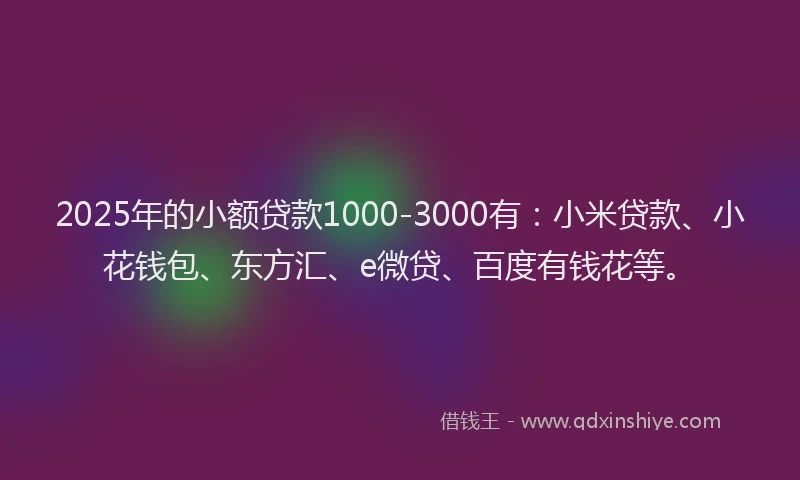 2025年的小额贷款1000-3000有：小米贷款、小花钱包、东方汇、e微贷、百度有钱花等。