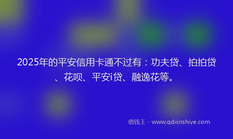 2025年的平安信用卡通不过有：功夫贷、拍拍贷、花呗、平安i贷、融逸花等。