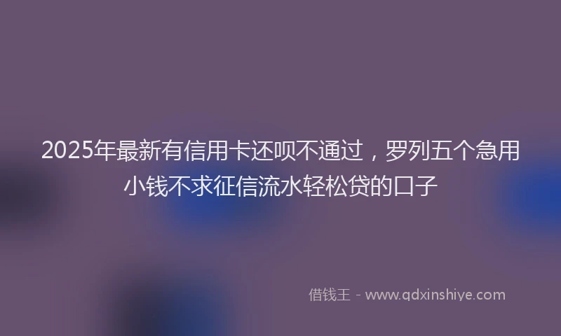 2025年最新有信用卡还呗不通过，罗列五个急用小钱不求征信流水轻松贷的口子