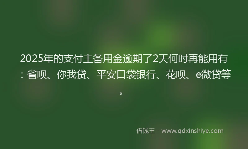 2025年的支付主备用金逾期了2天何时再能用有：省呗、你我贷、平安口袋银行、花呗、e微贷等。