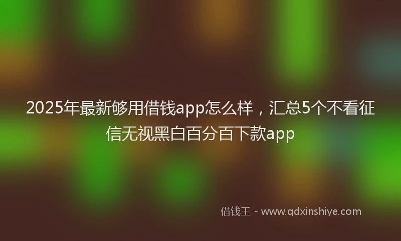 2025年最新够用借钱app怎么样，汇总5个不看征信无视黑白百分百下款app