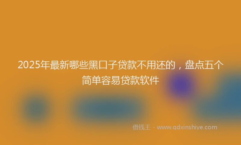 2025年最新哪些黑口子贷款不用还的，盘点五个简单容易贷款软件