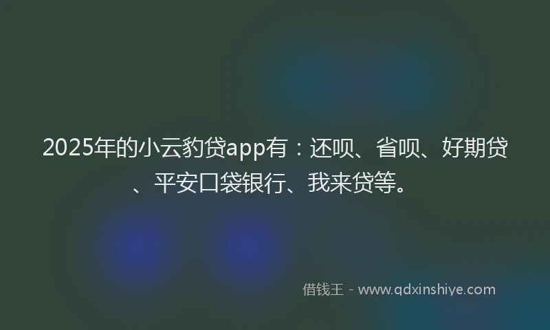 2025年的小云豹贷app有：还呗、省呗、好期贷、平安口袋银行、我来贷等。