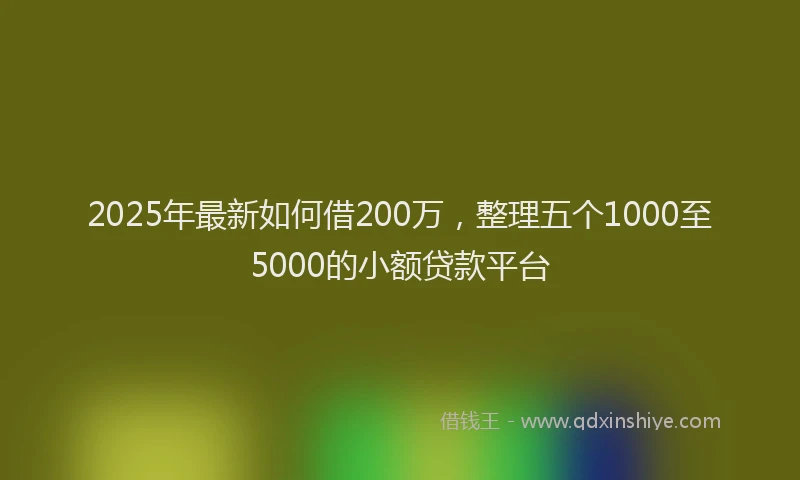 2025年最新如何借200万，整理五个1000至5000的小额贷款平台