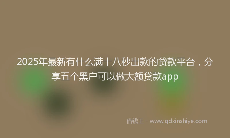 2025年最新有什么满十八秒出款的贷款平台，分享五个黑户可以做大额贷款app
