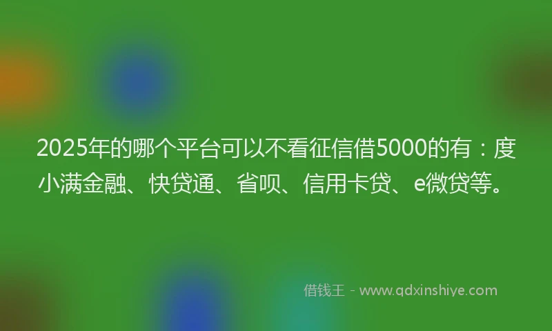 2025年的哪个平台可以不看征信借5000的有：度小满金融、快贷通、省呗、信用卡贷、e微贷等。
