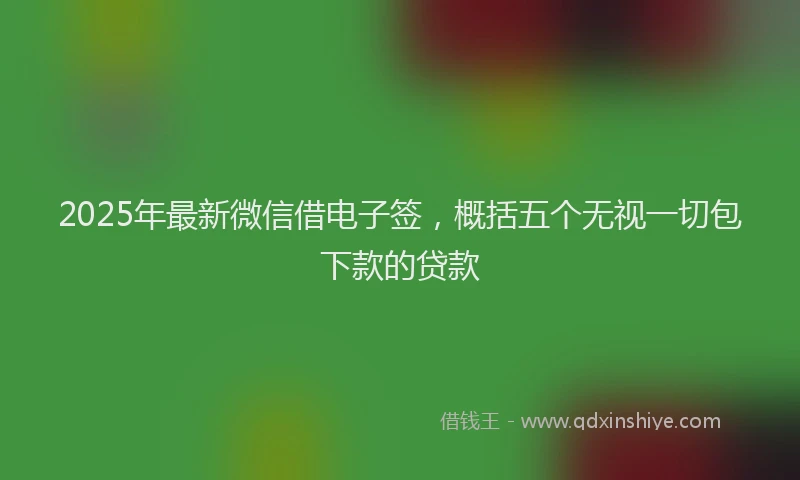 2025年最新微信借电子签，概括五个无视一切包下款的贷款