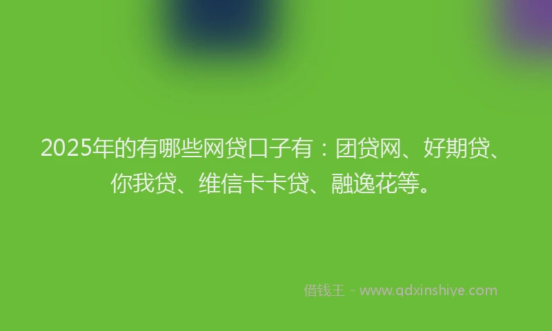 2025年的有哪些网贷口子有：团贷网、好期贷、你我贷、维信卡卡贷、融逸花等。