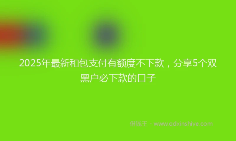 2025年最新和包支付有额度不下款，分享5个双黑户必下款的口子