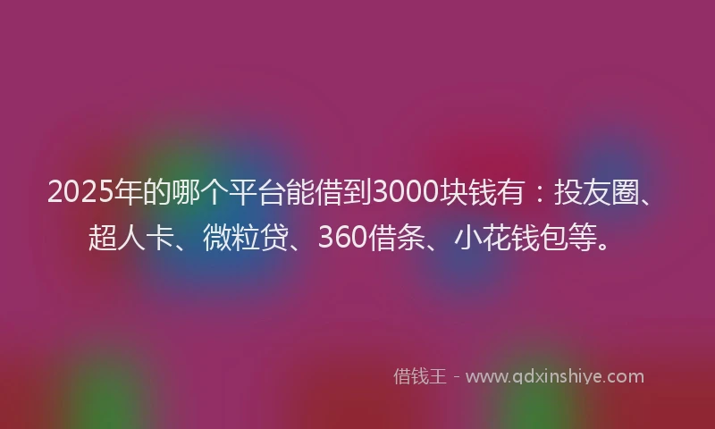 2025年的哪个平台能借到3000块钱有：投友圈、超人卡、微粒贷、360借条、小花钱包等。