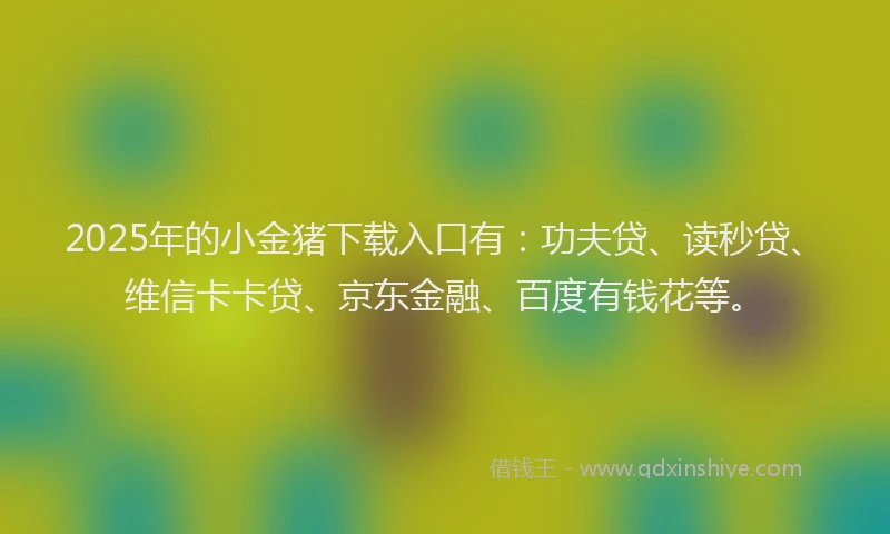 2025年的小金猪下载入口有：功夫贷、读秒贷、维信卡卡贷、京东金融、百度有钱花等。