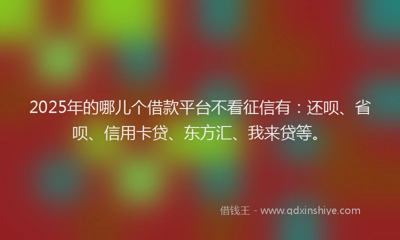 2025年的哪儿个借款平台不看征信有：还呗、省呗、信用卡贷、东方汇、我来贷等。