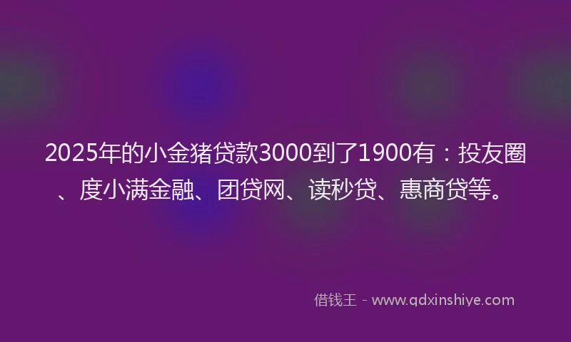2025年的小金猪贷款3000到了1900有：投友圈、度小满金融、团贷网、读秒贷、惠商贷等。