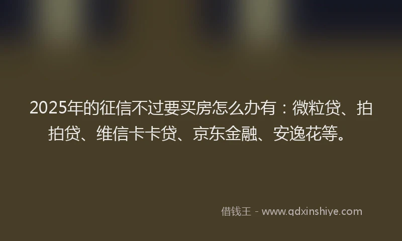 2025年的征信不过要买房怎么办有：微粒贷、拍拍贷、维信卡卡贷、京东金融、安逸花等。