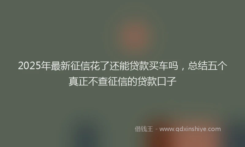 2025年最新征信花了还能贷款买车吗，总结五个真正不查征信的贷款口子