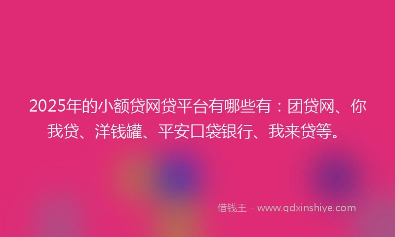 2025年的小额贷网贷平台有哪些有：团贷网、你我贷、洋钱罐、平安口袋银行、我来贷等。