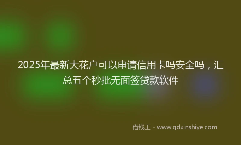 2025年最新大花户可以申请信用卡吗安全吗，汇总五个秒批无面签贷款软件