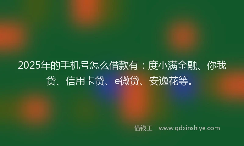 2025年的手机号怎么借款有：度小满金融、你我贷、信用卡贷、e微贷、安逸花等。